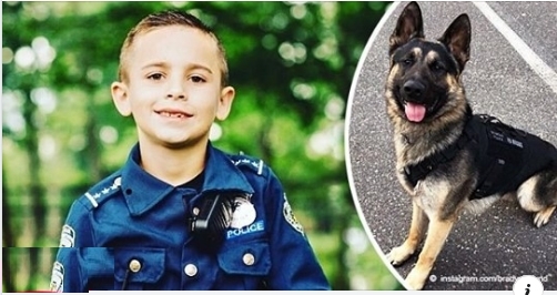 Junge (10) sammelte 260.000 Euro für die Entwicklung von Schutzwesten für Polizeihunde